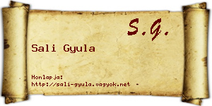 Sali Gyula névjegykártya